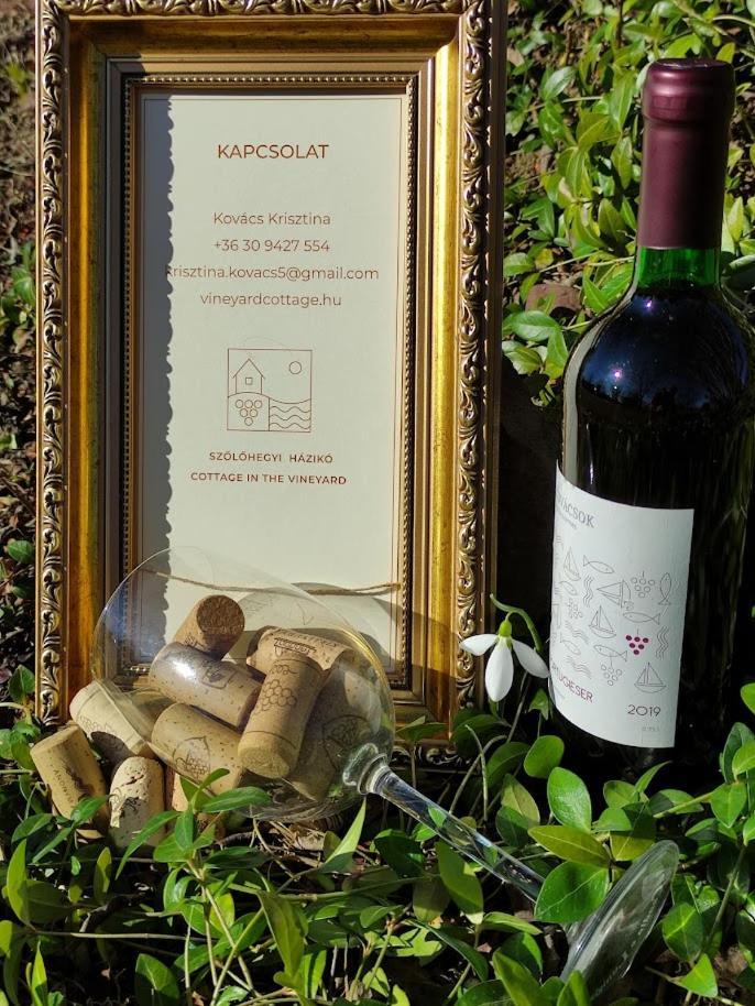 Szolohegyi Haziko - Cottage In The Vineyard Balatonszárszó Екстериор снимка